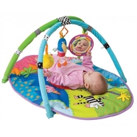 Taf Toys Safari Gym