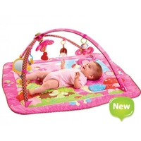 Tiny Love Gymini Move amp; Play Tiny Princess Multi Play Gym