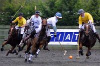 Discover Polo Experience at Ascot Park