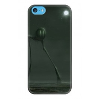 iPhone 5C Case Midnight Fairy Tale By Alex Andreev