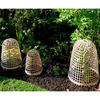 Bamboo Bell Cloches - Mixed Sizes