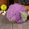 Cauliflower Plants - di Sicilia violetto