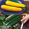 Courgette Plants - Twin Pack