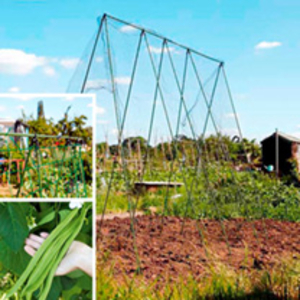 Frame & Seed Offer Moonlight