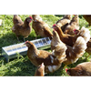 Galvanised Feeder for Chickens