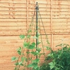 Garden Maypole