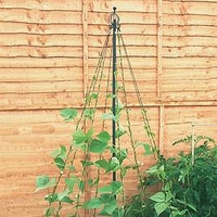 Garden Maypole
