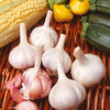 Garlic Bulbs - Sultop