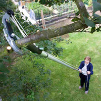 Geared Tree Pruner