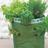 Herb Kit & Planters