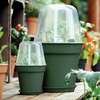 Leaf Green Grow Pot + Bell Cover + Saucer