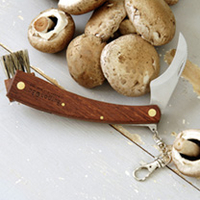 Mushroom Knife and Recipe Book
