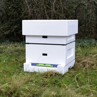 Polyhive Starter Kit