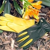 RHS Dry Touch Gloves