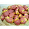 Seed Potatoes - Pink Gypsy 1kg