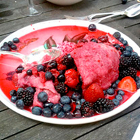 Soft Fruit Plants - Collection