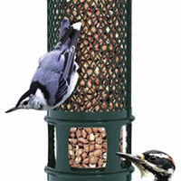 Squirrel Buster Peanut Feeder