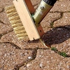 Telescopic Wire Block Paving Brush / Path,  Patio and Decking Cleaner Concentrate