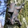 Tree Squirrel