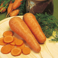 Value Vegetable Seed Collection - Stew Pot
