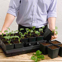 Vegetable Growing Set