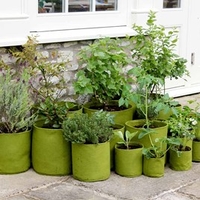 Vigoroot Herb Planter