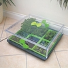 Vitopod Propagator - Single Length