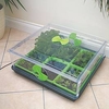 Vitopod Single Propagator