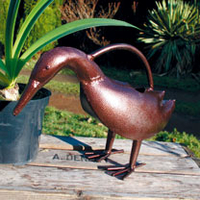 Watering Can - Duck