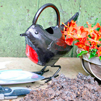 Watering Can - Robin