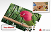 Bird on Perch Jigsaw