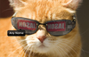 Cat in Sunglasses Poster