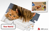 Cat jigsaw