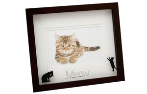 Cat Photo Frame
