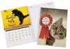 Cats Personalised Diary