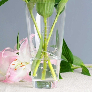 Engraved Swarovski Spiral Vase