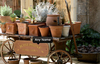 Garden Herbs Poster