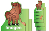 Horse Height Chart