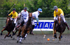 Introductory Polo Lessons