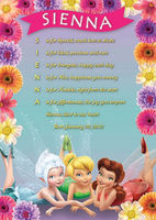 Personalised Disney Fairies Pixie Party Poem