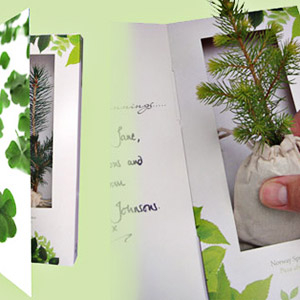 Treemendous Everyday Cards