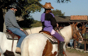 Western Working Day Experience