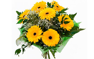 Yellow Gerbera Bouquet