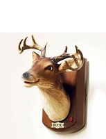 BARRY THE BUCK