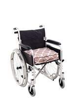 Booster Cushion