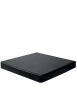 Comfort Plus Cushion