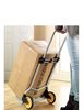 Folding Trolley Cart