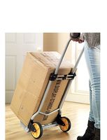 Folding Trolley Cart