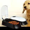 2 Meal Automatic Pet Feeder by PetPlanet