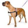 Ancol Happy at Heel Harness and Lead Set - Small